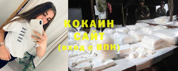 сатива Беломорск