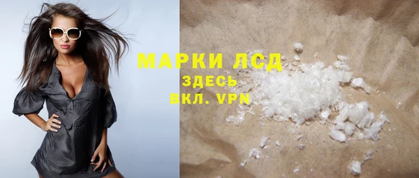 сатива Беломорск