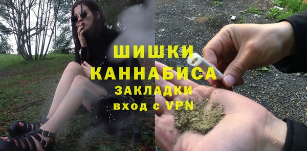 соль ск Белокуриха