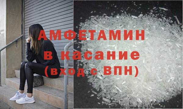 сатива Беломорск