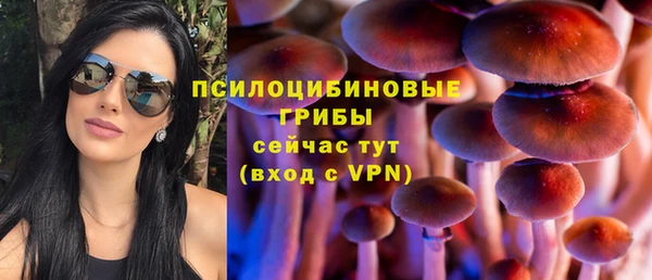 соль ск Белокуриха